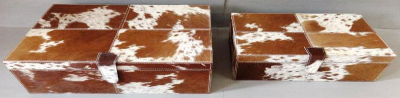 Tan White Hair On Rectangle Box Big